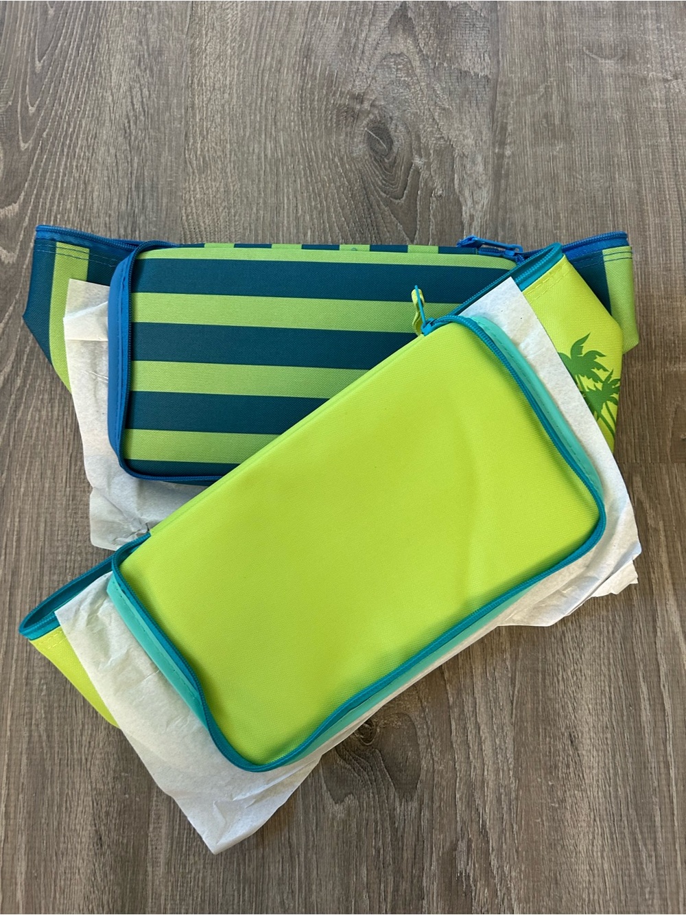 Set of 2 NWT Trader Joe's mini insulated cooler bag